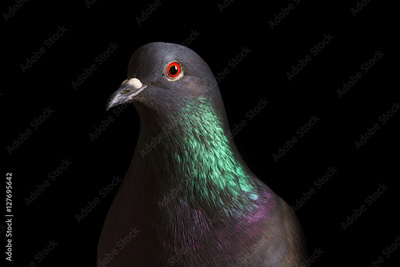 image to crop