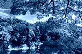 preview cold