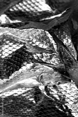 preview bw