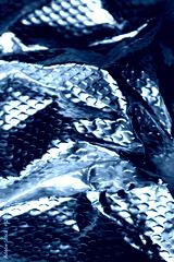 preview cold
