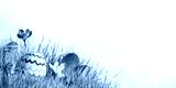 preview cold