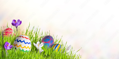 image to crop