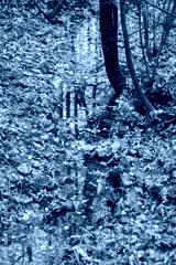preview cold
