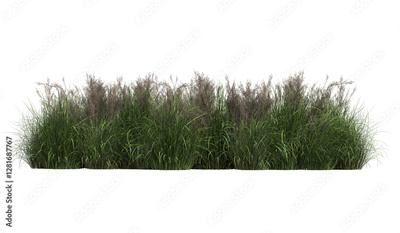 image to crop