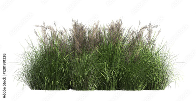 image to crop