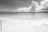 preview bw