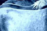 preview cold