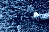 preview cold