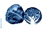 preview cold