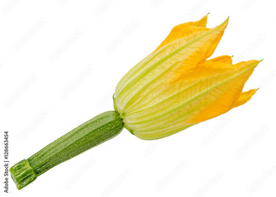 image to crop