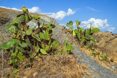 image to crop