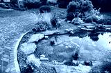 preview cold