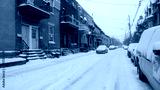 preview cold