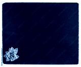 preview cold