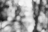 preview bw