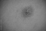 preview bw