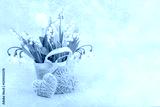 preview cold