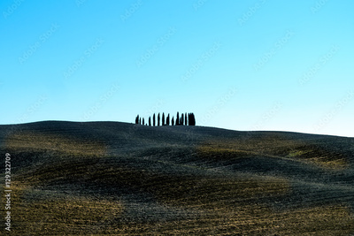 image to crop