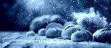 preview cold