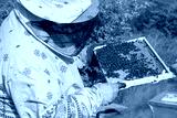 preview cold