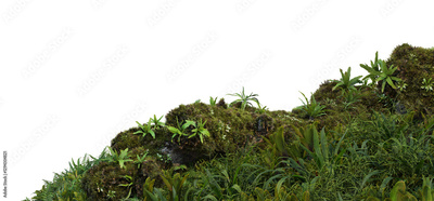 image to crop