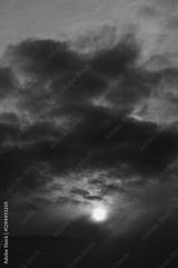 preview bw
