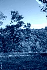 preview cold