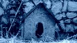 preview cold