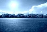 preview cold
