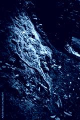 preview cold