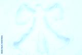 preview cold