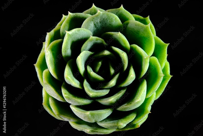 image to crop