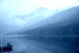 preview cold