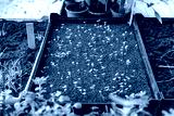 preview cold