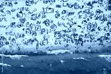preview cold