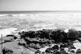 preview bw