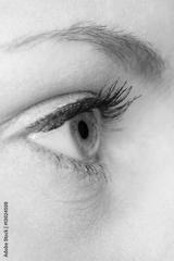 preview bw