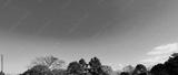 preview bw