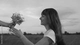 preview bw