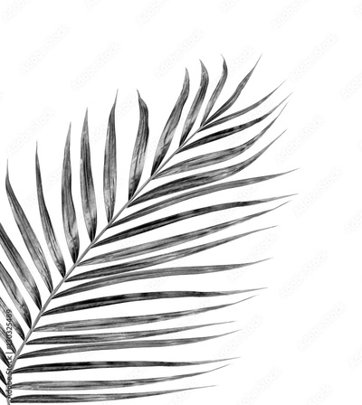 image to crop