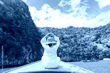 preview cold