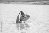 preview bw