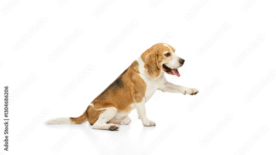 image to crop