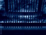 preview cold