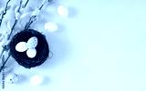 preview cold