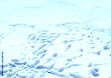 preview cold