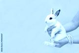 preview cold