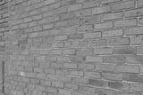 preview bw