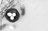 preview bw