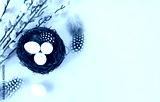 preview cold